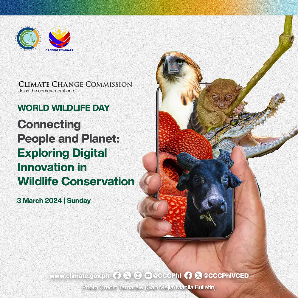 International Wildlife Day